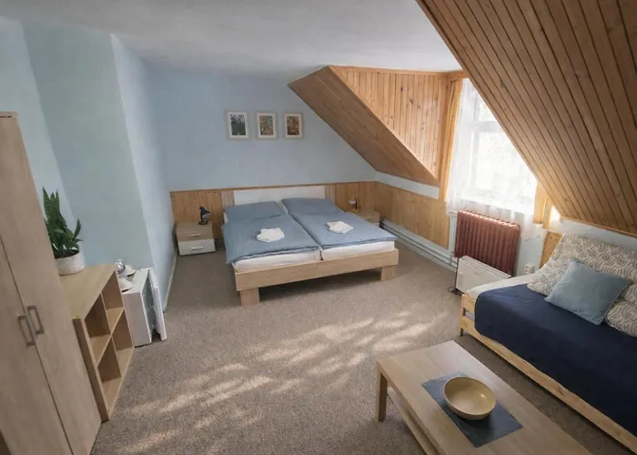 Gasthof Pod Skalou 3*
